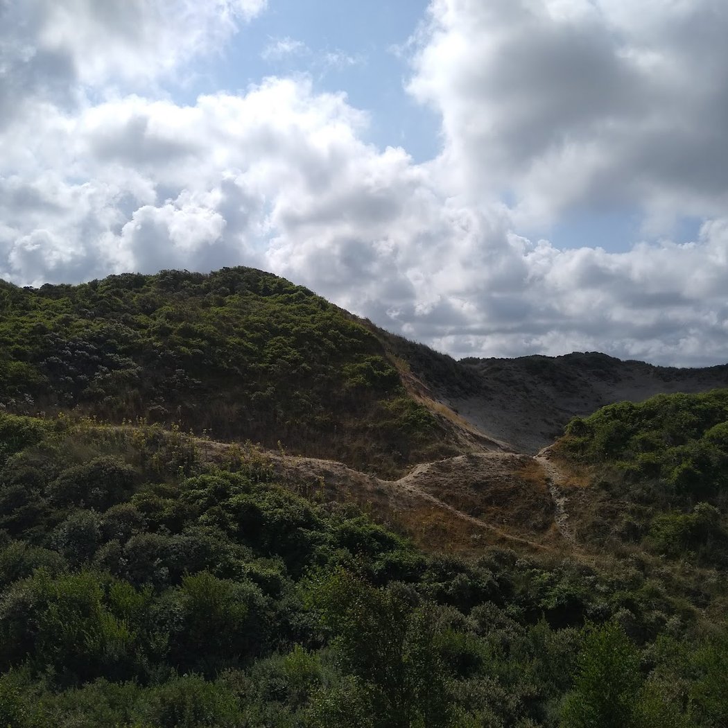 Sentier Découverte De La Dune Parabolique 2
